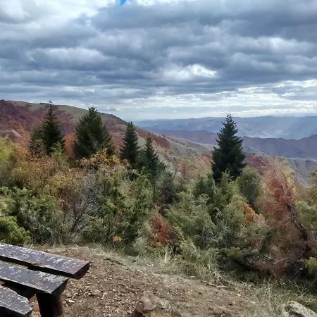 Alibikopaoniksky32 קופאוניק