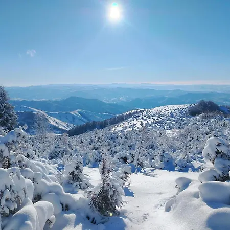 شقة Alibikopaoniksky32