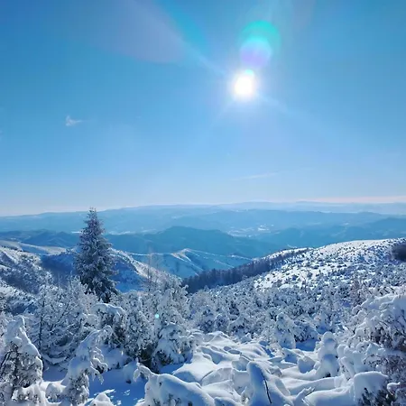 Alibikopaoniksky32 *