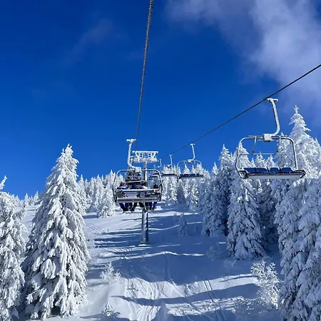 Alibikopaoniksky32 *