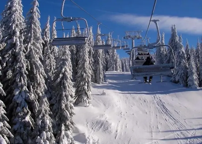 Apartamento Alibikopaoniksky32 Kopaonik