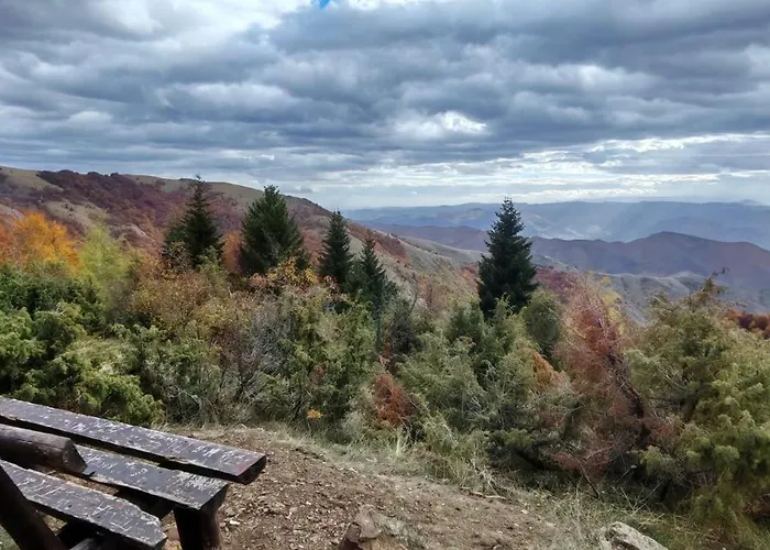 Alibikopaoniksky32 Kopaonik