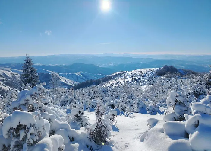 شقة Alibikopaoniksky32