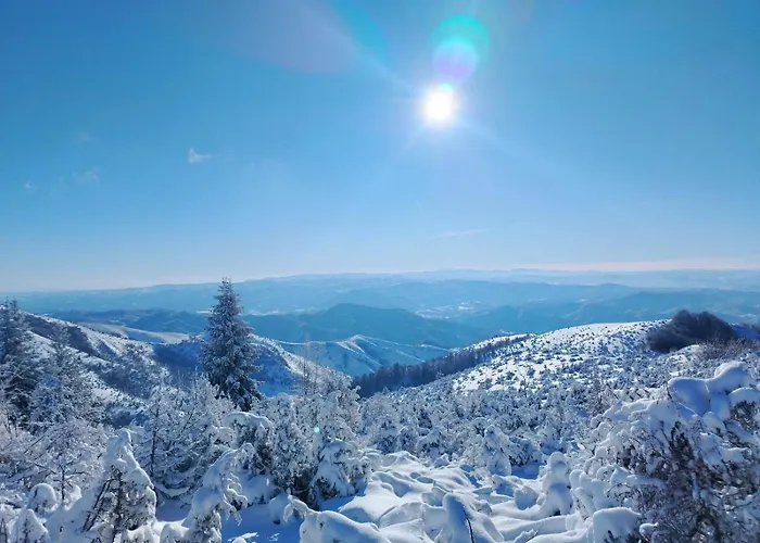 Alibikopaoniksky32 *