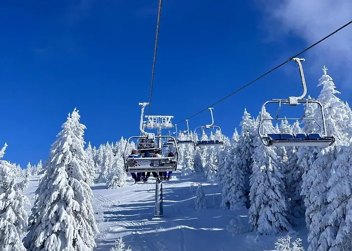 Alibikopaoniksky32 *